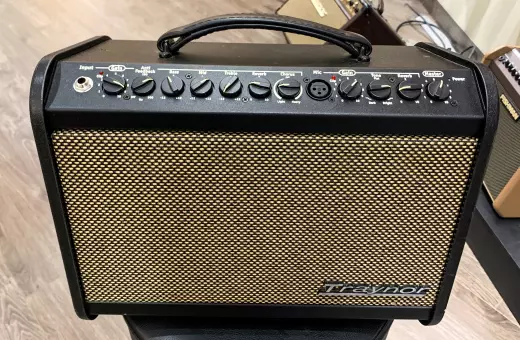 Traynor - 65 Watt Acoustic Amp w/Effects 2